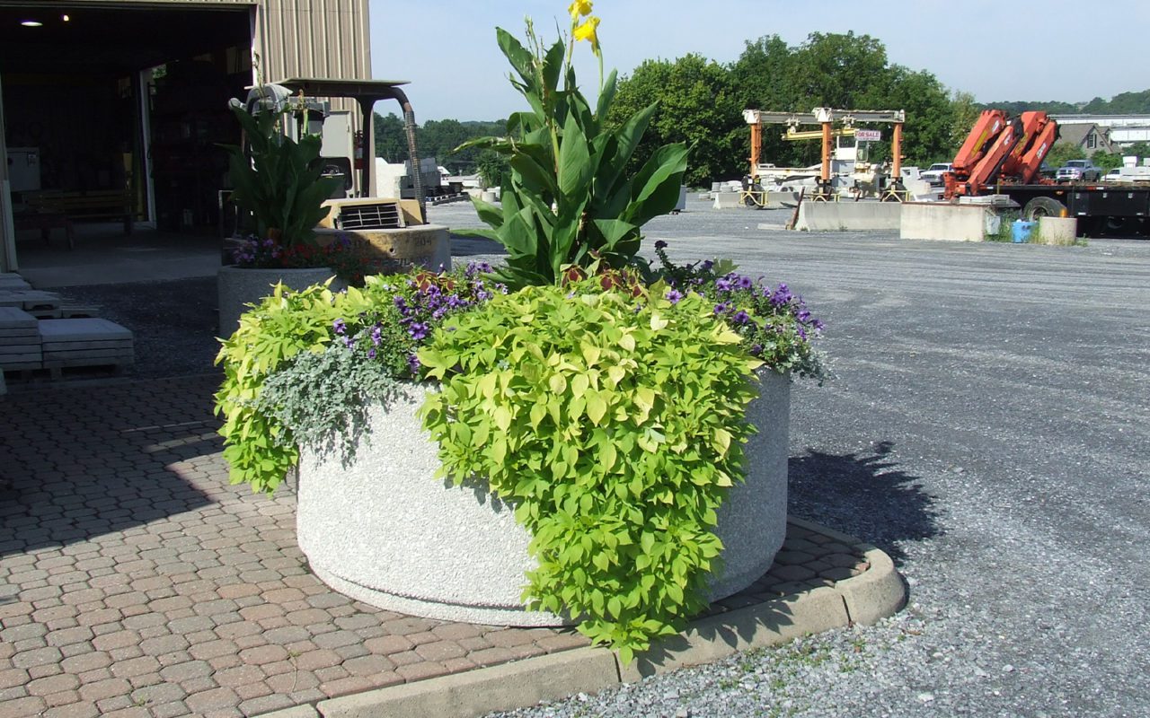 Our Precast Concrete Planters • Reading Precast